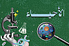 الأحياء