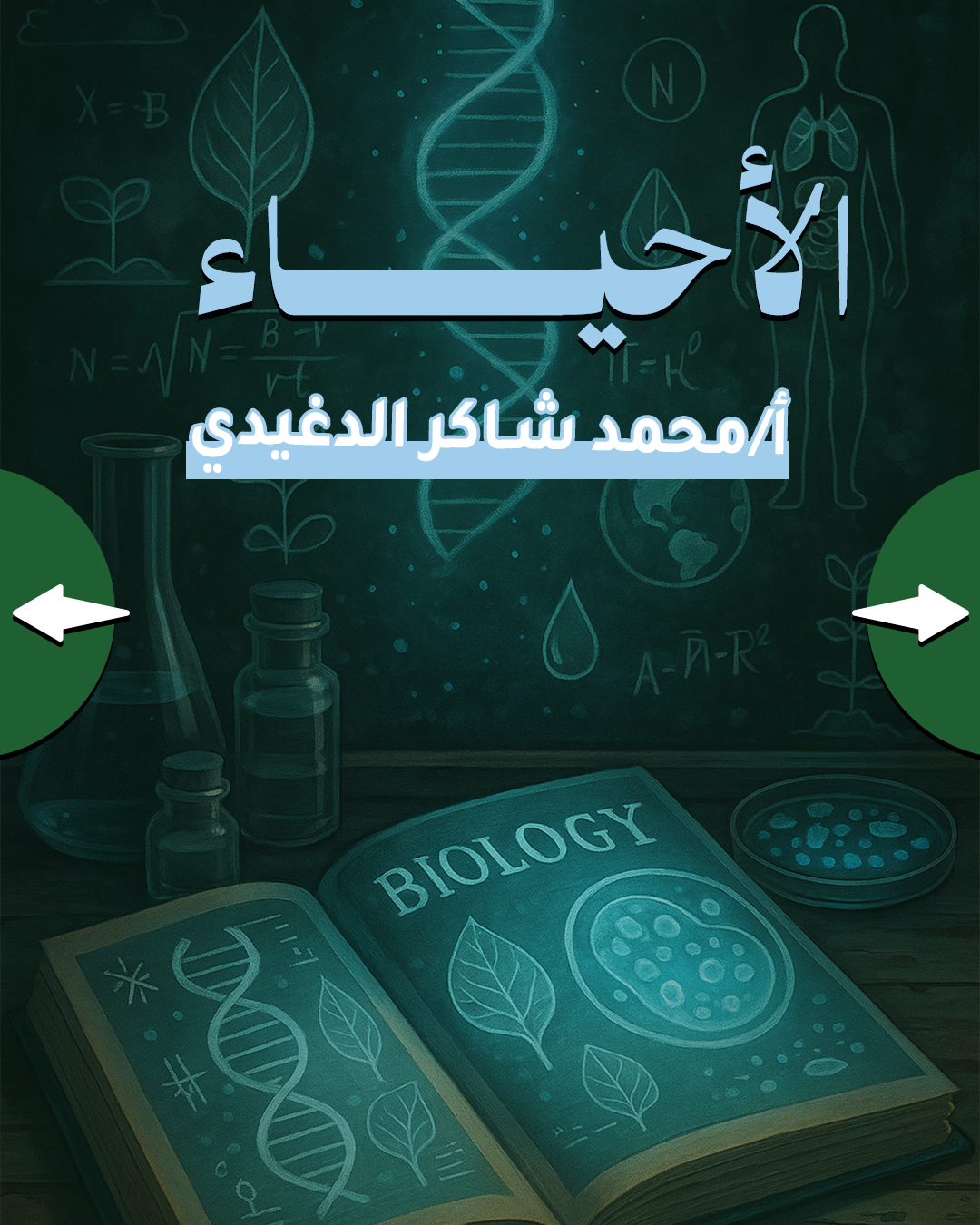 تأسيس الأحياء